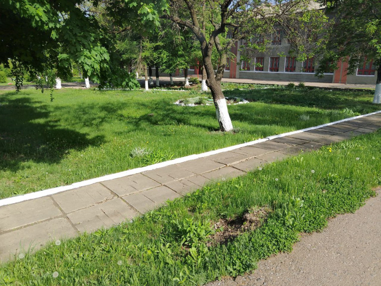 Благоустройство территории учебного заведения.